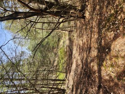 Lot 45 4th Circle, Rock Hill, New York 12775