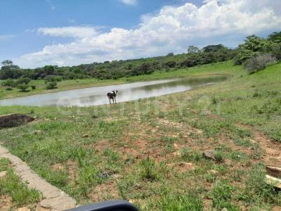 Cuauhtemoc, Колима 28521, Мексика