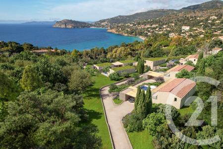 Rayol Canadel Sur Mer, Provence-Alpes-Côte D'Azur 83820, Francia