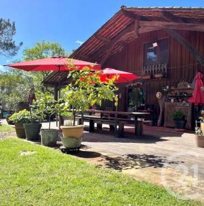 La Teste De Buch, アキテーヌ 33260, アキタン