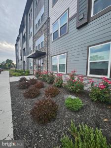 151 Mccormick Cir Circle , 203, Winchester, 維吉尼亞州 22602, 美國