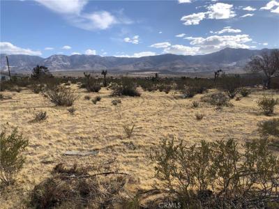 31357 Pawnee Street, Lucerne Valley, Калифорния 92356, Соединенные Штаты