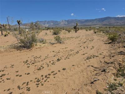 31357 Pawnee Street, Lucerne Valley, California 92356, Stati Uniti