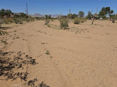 31357 Pawnee Street, Lucerne Valley, California 92356, Stati Uniti