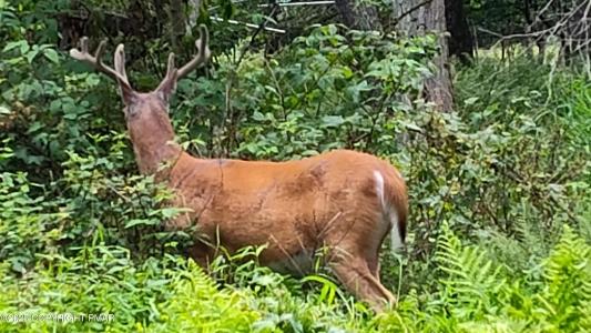 Clubhouse Dr 111 Court, East Stroudsburg, Pensilvania 18301, Estados Unidos