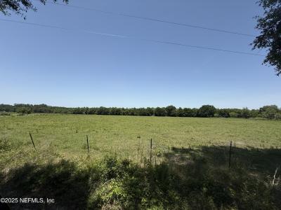 0 Morris Dowling Road, Sanderson, 佛罗里达州 32087, 美国