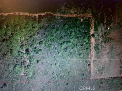 9510 Bottle Rock Road, Kelseyville, California 95451, Stati Uniti