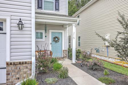 215 Night Heron Street Street, Summerville, South Carolina 29486