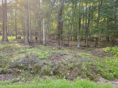 Lot 004 Vacation Drive, White Haven, Pennsylvania 18661