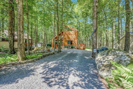 133 Minisink Drive, Pocono Lake, Pennsylvania 18347, Amerika Birleşik Devletleri