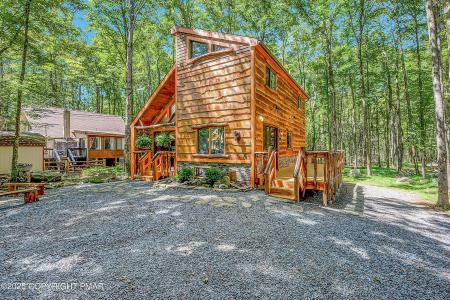 133 Minisink Drive, Pocono Lake, Pennsylvania 18347, Amerika Birleşik Devletleri