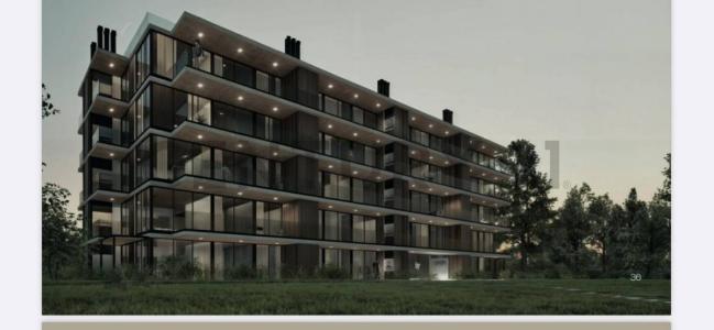 Punta Ballena, Maldonado 00001, אורוגוואי 