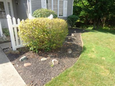 9834 Brookline Oval, Strongsville, 俄亥俄州 44136, 美國