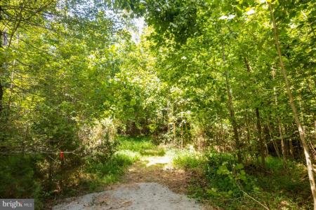 00 W Hoover Tbd, Reva, Virginia 22735, Estados Unidos