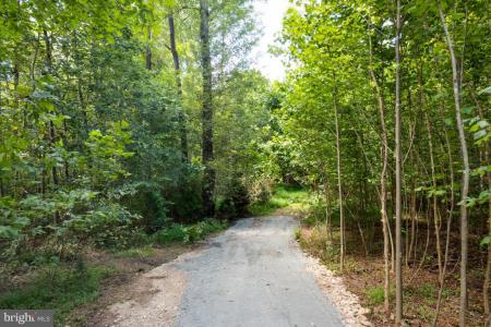 00 W Hoover Tbd, Reva, Virginia 22735, Estados Unidos