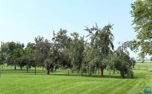 22954 Park Loop, Onawa, Iowa 51040, États-Unis