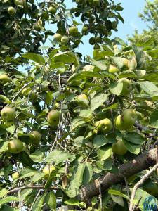 22954 Park Loop, Onawa, Iowa 51040, États-Unis