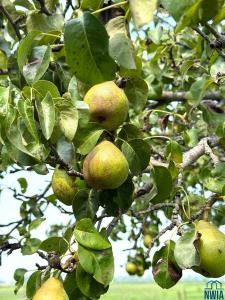 22954 Park Loop, Onawa, Iowa 51040, États-Unis