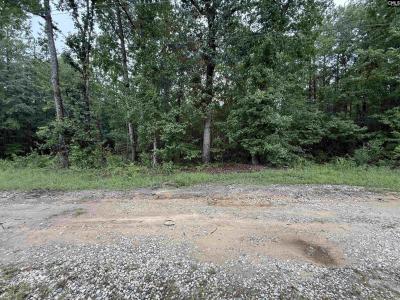 2140 Mccords Ferry Road, Eastover, Carolina Del Sur 29044, Estados Unidos