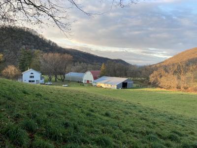 36415 Homer Valley Ln, Homer, Minnesota 55987, Estados Unidos