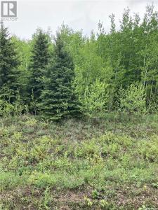 BALL FARM, Clayton Rm No. 333, Saskatchewan S0A 4A0, Canada