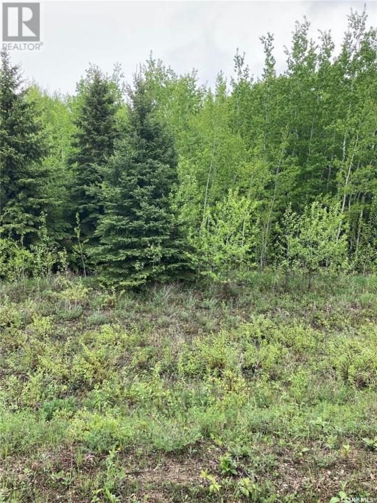 BALL FARM, Clayton Rm No. 333, Saskatchewan S0A 4A0, Canada