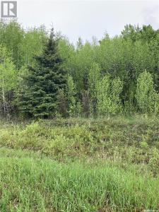 BALL FARM, Clayton Rm No. 333, Saskatchewan S0A 4A0, Canada