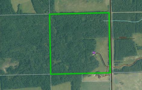 55418A HIGHWAY 751, Rural Yellowhead County, Alberta T0E 1S0, Kanada