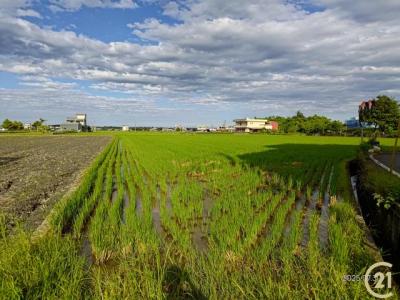 壯東段, Zhuangwei Township, Yilan City 263, Taiwan