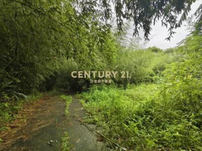 雙石段180,182,, 三灣鄉, 苗栗縣 352, 台灣