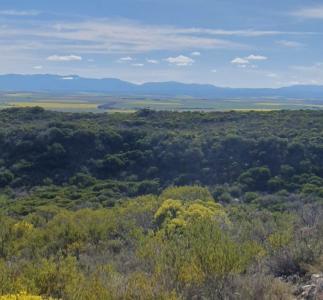 Riversdale, Western Cape, South Africa