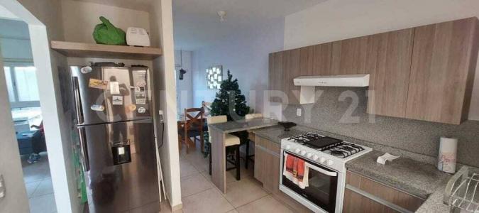 VIV. 5, MZA. COND.1 CATARATAS KAIETEUR CONJTO. URB. CASCADAS COCOYOC 5,, Yautepec, Morelos 62738, Mexico