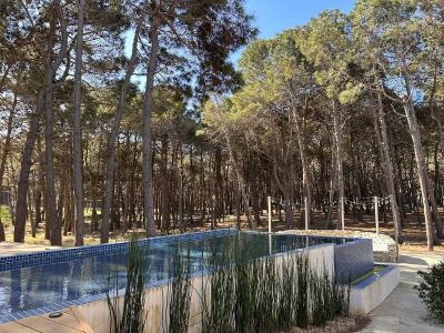 Villarobles, Buenos Aires Costa Atlántica 00001, Argentina