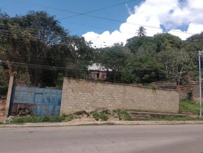 La Asunción, Nueva Esparta 6311, Venzuela