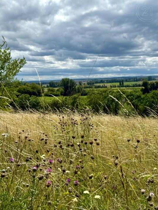 Přerov Nad Labem, Nymburk 100 00, 捷克共和国