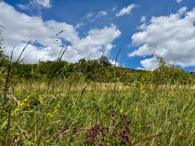 Přerov Nad Labem, Nymburk 100 00, 捷克共和国