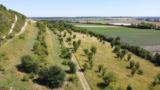 Přerov Nad Labem, Nymburk 100 00, 捷克共和国