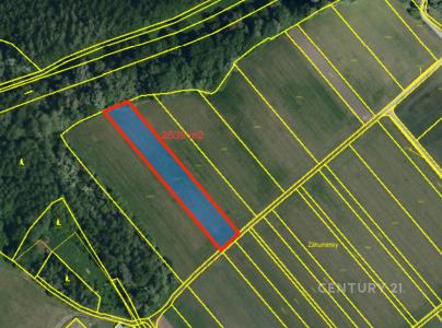 Brod Nad Dyjí, Břeclav 69181, Чешская Республика