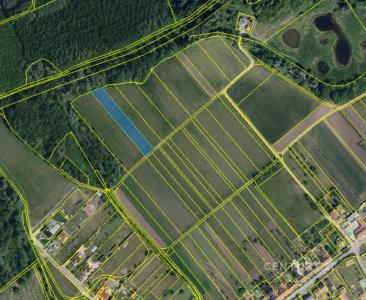 Brod Nad Dyjí, Břeclav 69181, Чешская Республика