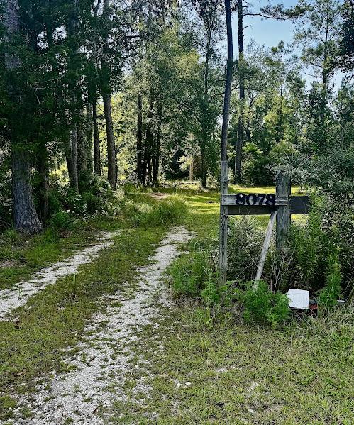 8078 HIGHWAY 171, DeRidder, Louisiana 70634, Amerika Birleşik Devletleri