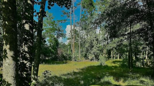 8078 HIGHWAY 171, DeRidder, Louisiana 70634, Amerika Birleşik Devletleri