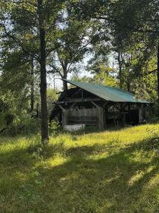 8078 HIGHWAY 171, DeRidder, Louisiana 70634, Amerika Birleşik Devletleri