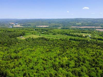 00 Pine Banks Road, Westminster, 佛蒙特州 05346, 美國