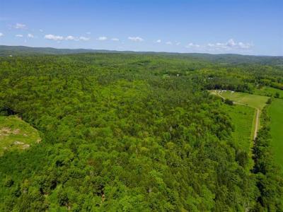 00 Pine Banks Road, Westminster, 佛蒙特州 05346, 美國