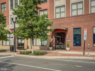 1107 S Walter Reed Drive Unit# 302, Arlington, וירג'יניה 22204, ארצות הברית של אמריקה 