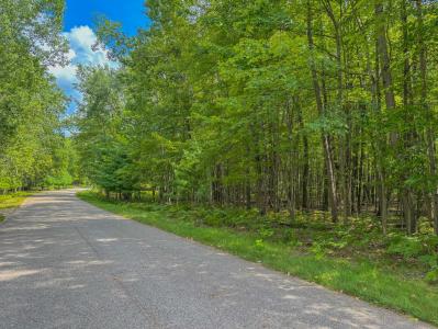 9385 Clubhouse Dr. W, Canadian Lakes, Michigan 49346, USA