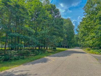 9385 Clubhouse Dr. W, Canadian Lakes, ミシガン 49346, アメリカ合衆国