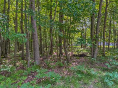 9385 Clubhouse Dr. W, Canadian Lakes, ミシガン 49346, アメリカ合衆国