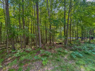 9385 Clubhouse Dr. W, Canadian Lakes, ミシガン 49346, アメリカ合衆国