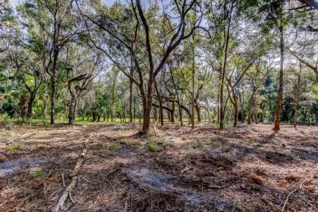 14004 Peace Blvd, Spring Hill, Florida 34610, USA